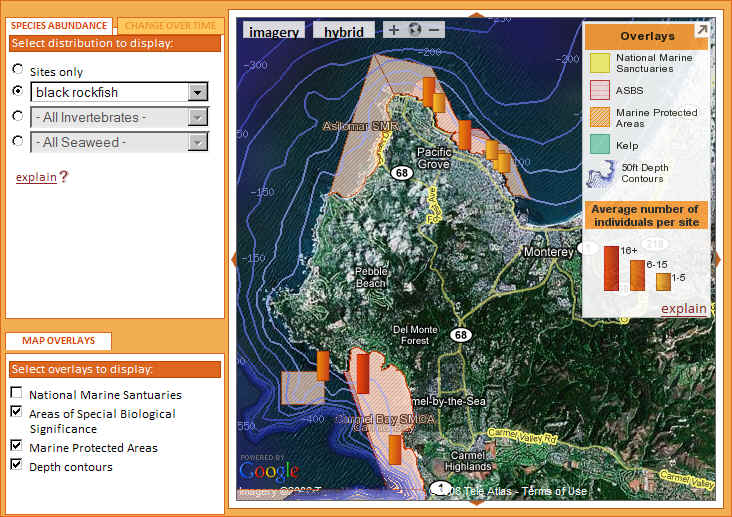 Example map showing rockfish counts at survey locations around the Monterey peninsula